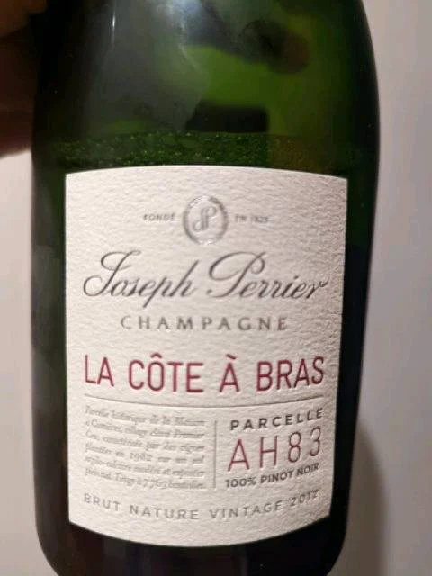 Joseph Perrier La Côte à Bras Parcelle Ah83 Brut Nature Vintage Champagne