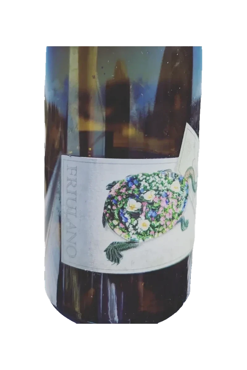 Quealy Friulano