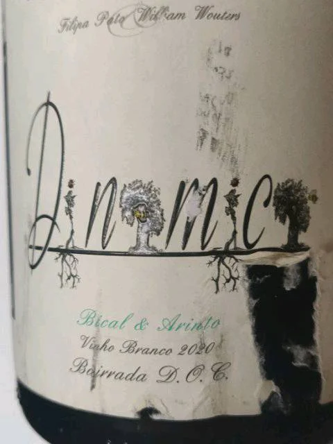 Filipa Pato DNMC - Dinamico Branco