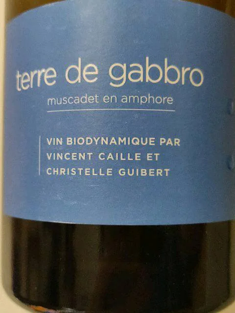 Domaine Le Fay d'Homme - Vincent Caillé Terre de Gabbro Muscadet en Cuve Beton Ovoide